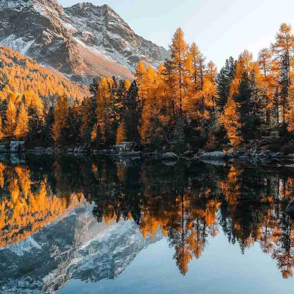 آهنگ جدید  اگه با موشک بزنن تو خونمون تنها پناهگاه من اون بغلته